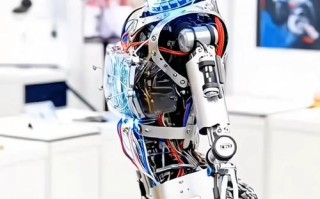 机器人showgirl是谁？