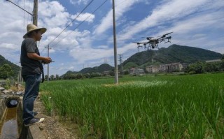 人工智能如何重塑中国农村？