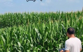 山西无人机农业植保有何新突破？