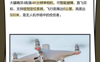 大疆精灵4属于哪种无人机类型？