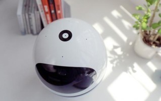 gowild公子小白机器人