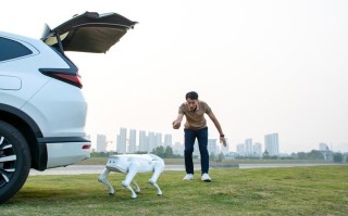 阿尔法狗零如何实现自我进化突破？