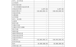 AI如何诊断财报报表？