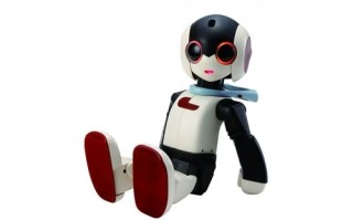 Robi机器人被指抄袭，真相究竟如何？