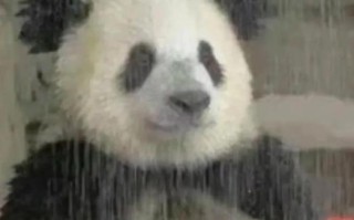 如何自己制作QQ机器人？