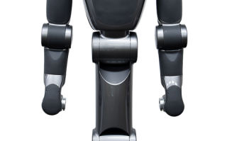 roborobo机器人有什么独特功能？