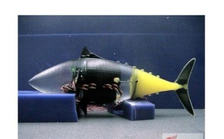 仿生机器人如何实现类人智能与灵活运动？