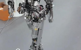 世界上最便宜的机器人有多便宜？