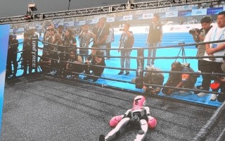 2025机器人搏击大赛，谁能称霸擂台？