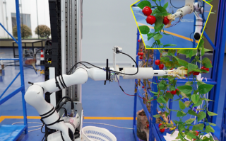 西红柿采摘葡萄机器人