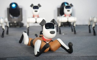 假扮baby q机器人有何用意？