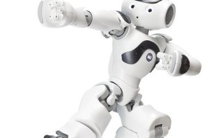 nao机器人怎么入门？