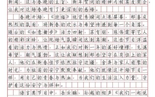 春晚无人机表演观后感