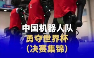 2025巴西机器人比赛看点有哪些？