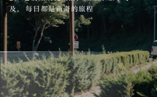 AI创造语言为何不可怕？