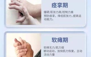 handy1康复机器人如何辅助患者功能康复？