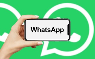 WhatsApp营销机器人如何高效触达用户？