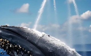 海洋无人机如何高效清理垃圾？