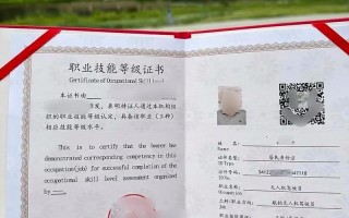 机器人等级考试，含金量如何？