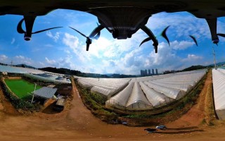 无人机180度全景图如何拍出沉浸感？