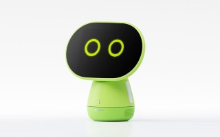 布丁机器人适合多大孩子用？