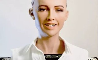 人工智能 sophia