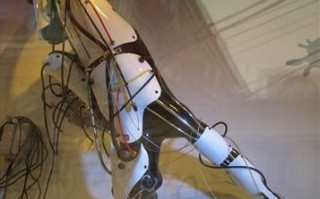 人类与机器人性爱，伦理还是禁忌？