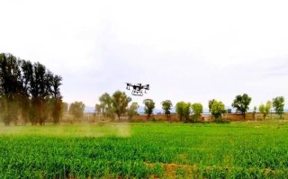 无人机真能代替蜜蜂授粉吗？