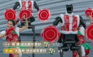 2025春晚机器人表演