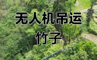 大疆无人机如何吊起重物？