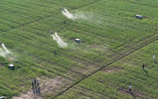 无人机喷洒农药 烧油的