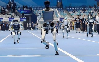 2025洛阳国际机器人展有哪些看点？