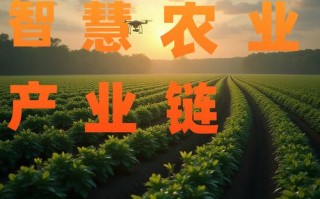 农业与AI携手后，将带来哪些变革？