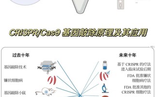 人工智能与基因编辑技术将如何重塑未来？