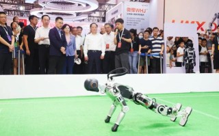 机器人大会视频里的机器人，谁的机器人？