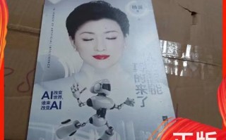 杨澜 人工智能真的来了