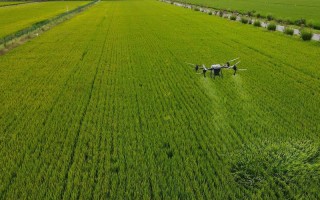 无人机撒农药市场空间有多大？
