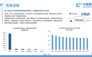 无人机购买行为有何关键特征与趋势？