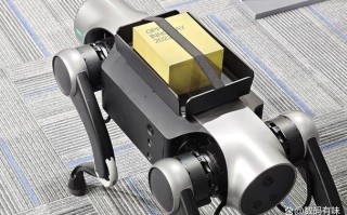 oppor9智能机器人有哪些实用功能？