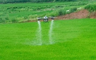 无人机喷洒农药培训同期，有何重点内容？