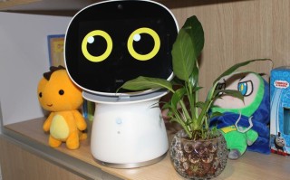 360巴迪机器人，功能如何？价格多少？