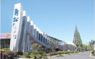 临港AI基金如何赋能产业？