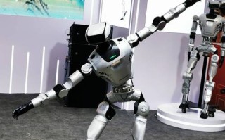 北京机器人2025排名将如何变化？