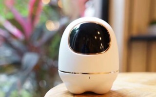 阿尔法小蛋机器人体验如何？