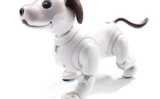 aibo机器人是智能伙伴还是科技玩具？