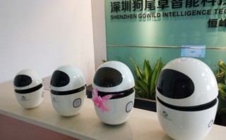 狗尾草团队规模多大？