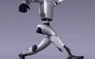 riley机器人为何无法打开？