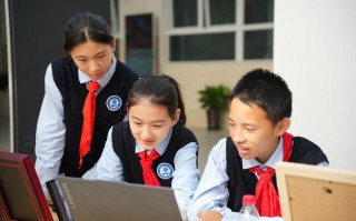 AI进小学课，孩子能学会吗？