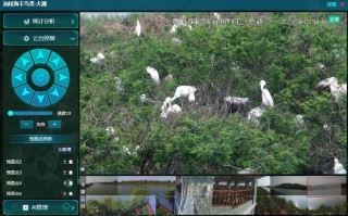 AI动物识别系统如何精准区分万千物种？