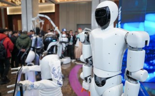 2025年机器人试用，普通人何时能体验？
